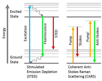 Jablonski diagrams showing multiple different NLO responses. Dashed lines indicate virtual states.