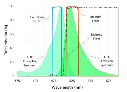 A fluorescence filter set designed for use with FITC.
