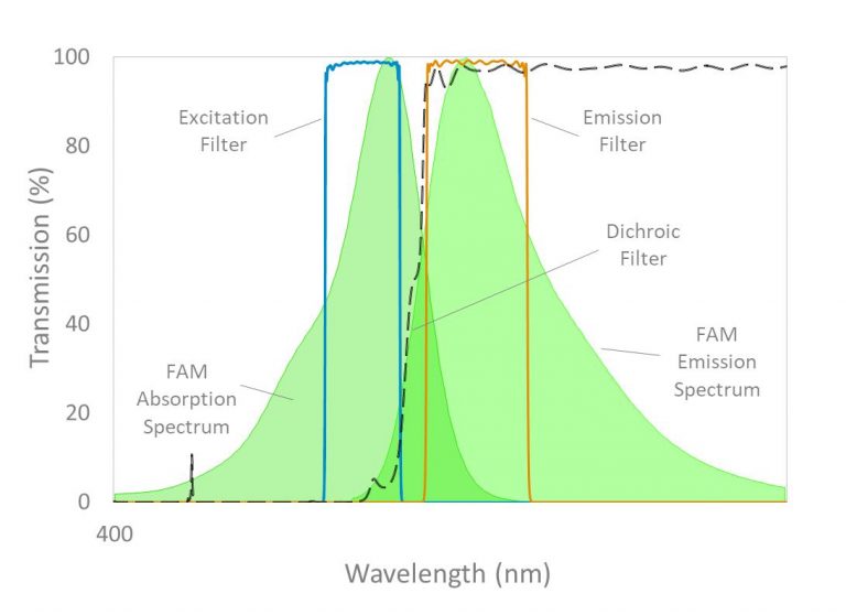 ULTRA Series FAM filter set for real-time qPCR applications
Transmission vs. wavelength plot of Alluxa’s ULTRA Series FAM filter set for real-time qPCR applications. The excitation, emission, and dichroic filter transmission spectra are displayed alongside FAM excitation and emission spectra.